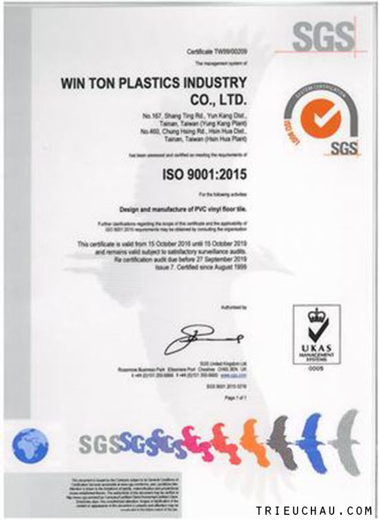 Chứng nhận ISO 9001 sàn nhựa giả gỗ Winton 2mm