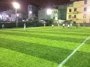 Các loải thảm cỏ nhân tạo sân bóng đá