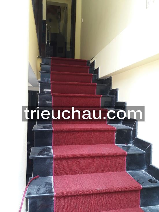 Thi công thảm trải cầu thang tại quận 1-2