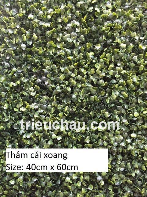 Tháº£m cá» xoang nhá»±a trang trÃ­ tÆ°á»ng