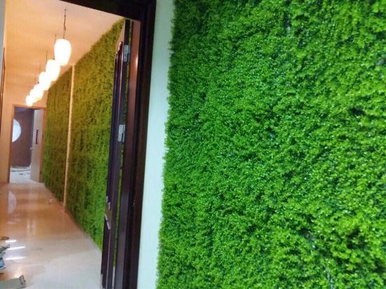 Ứng dụng cỏ 4 lá nhựa trong trang trí tường và nội thất