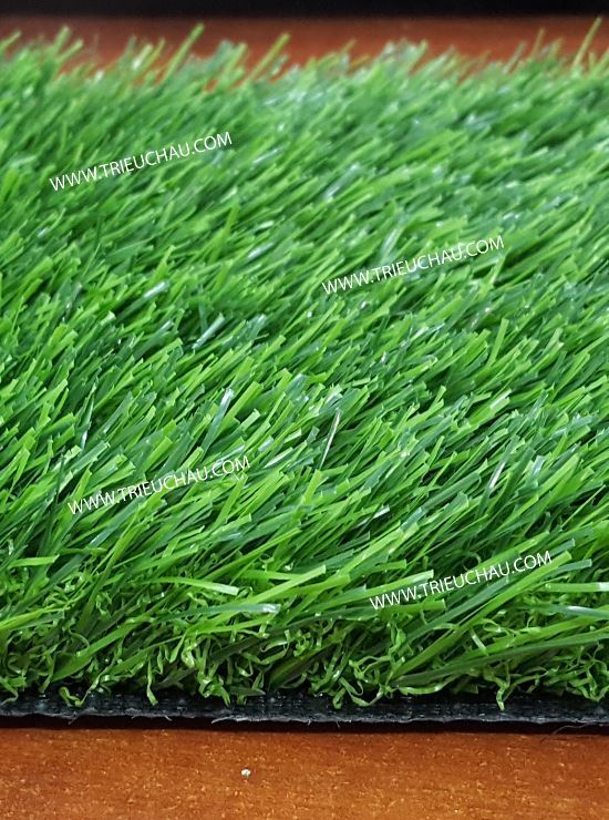 THẢM CỎ SỐ 6 THẢM CỎ SỐ 6