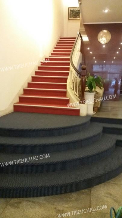 Thảm nhựa chữ thập 1