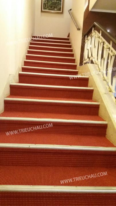 Thảm nhựa chữ thập 4