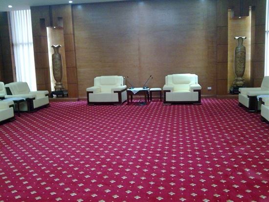 Thảm trải sàn đẹp cho phòng khách lớn 