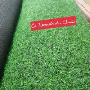 01-03-52-0972cm.thumbnail.jpg