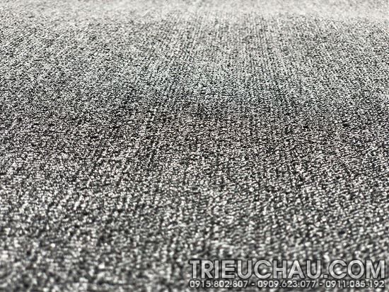 Hình ảnh thảm trải sàn Roll Carpet mã TC 20