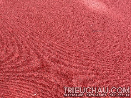Hình ảnh thảm trải sàn Roll Carpet TC mã 03