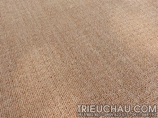 Hình ảnh thảm trải sàn Roll Carpet TC mã 12