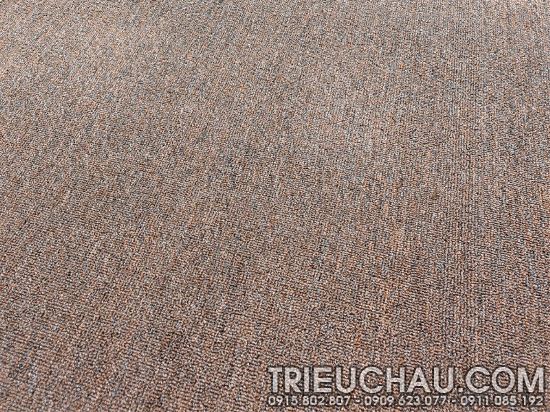 Hình ảnh thảm trải sàn Roll Carpet TC mã 27